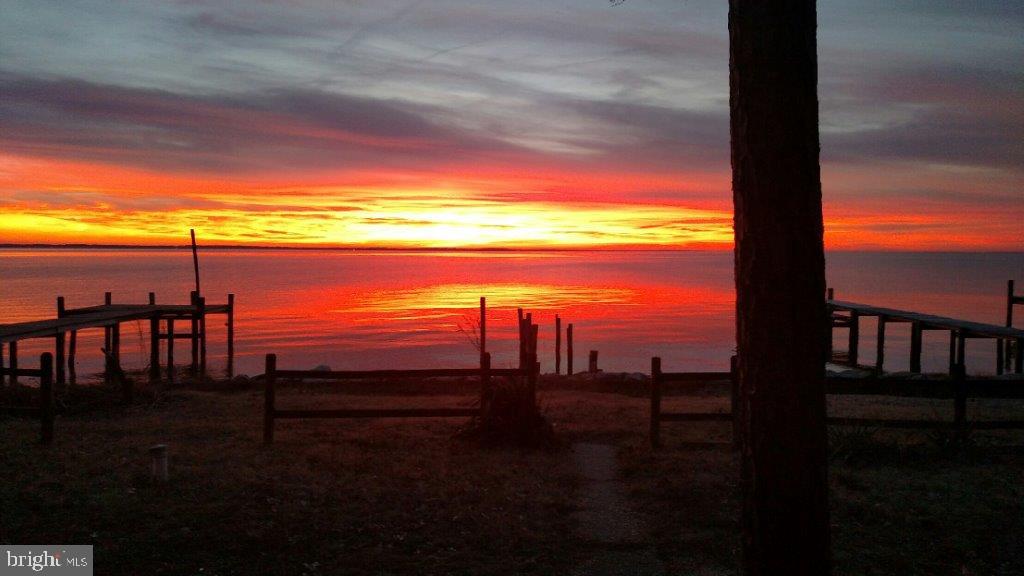 Same sunset, neighbor's yard.