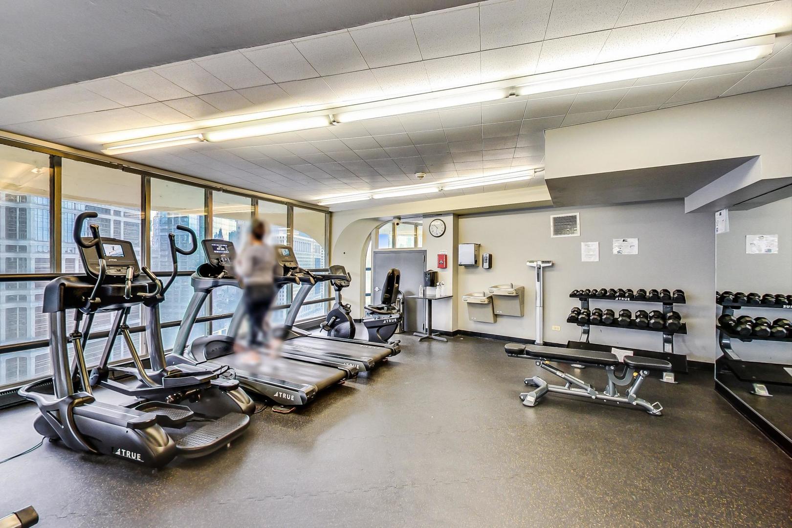 300 North State Street, Unit 4308 Chicago, IL 60654 - Photo 20 of 32 a room with gym equipment and large mirror