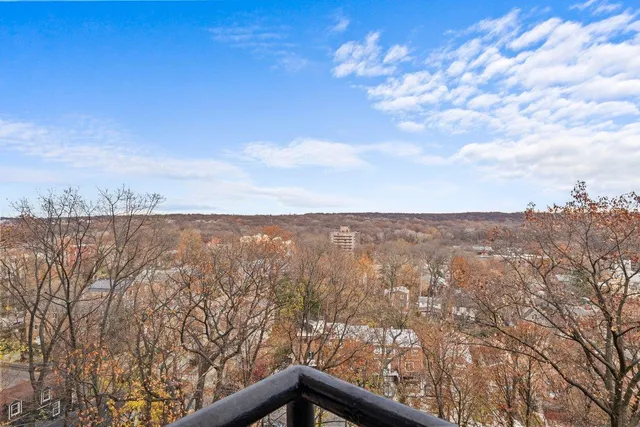 a view of city and mountain