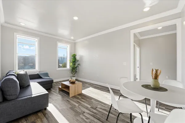 a living room with furniture and a potted plant