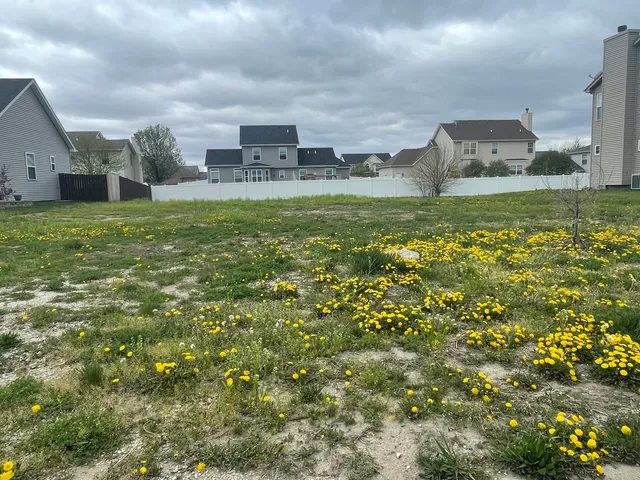 a view of a big yard with a house