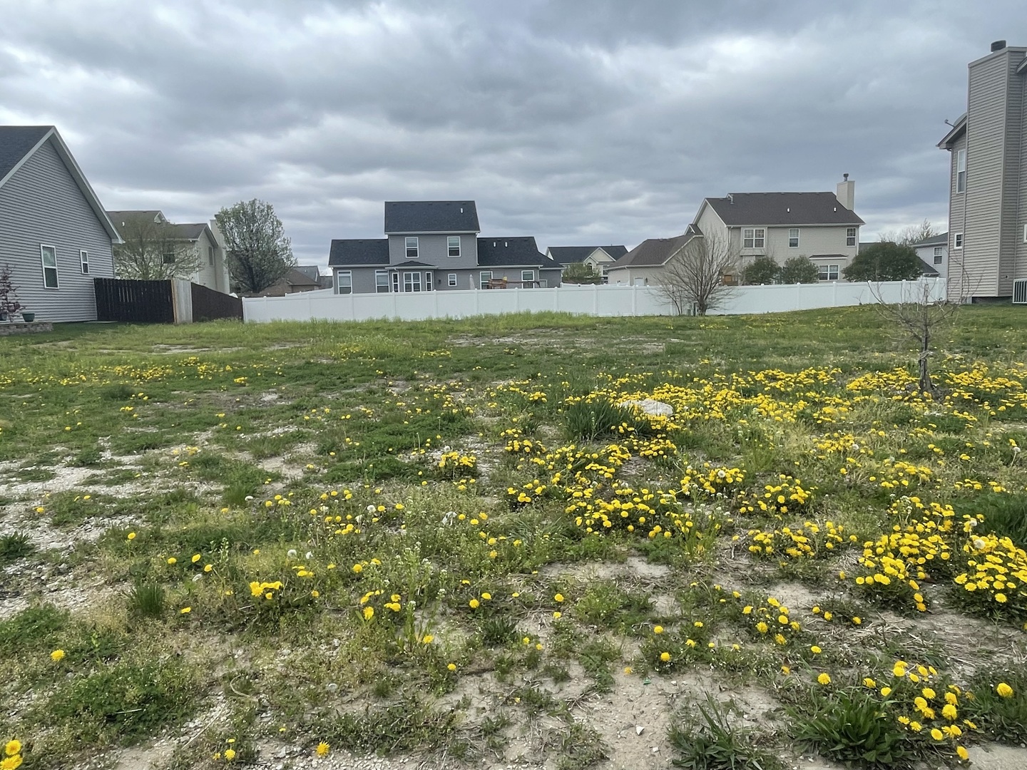 1170 Farmstone Drive Diamond, IL 60416 - Photo 2 of 2 a view of a big yard with a house