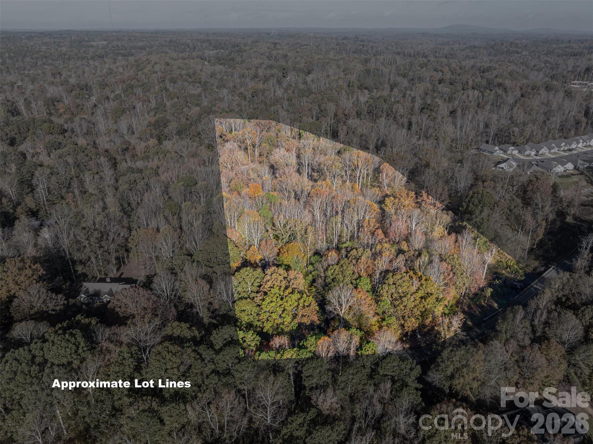 480 South Ingleside Farm Road Iron Station, NC 28080 - Photo 41 of 42 a view of a dry yard with trees