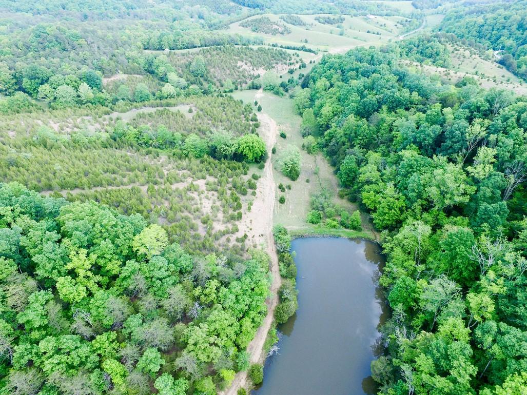 31-acres Lonesome Pine Road Bybee, TN 37713 - Photo 1 of 24 Massey 1