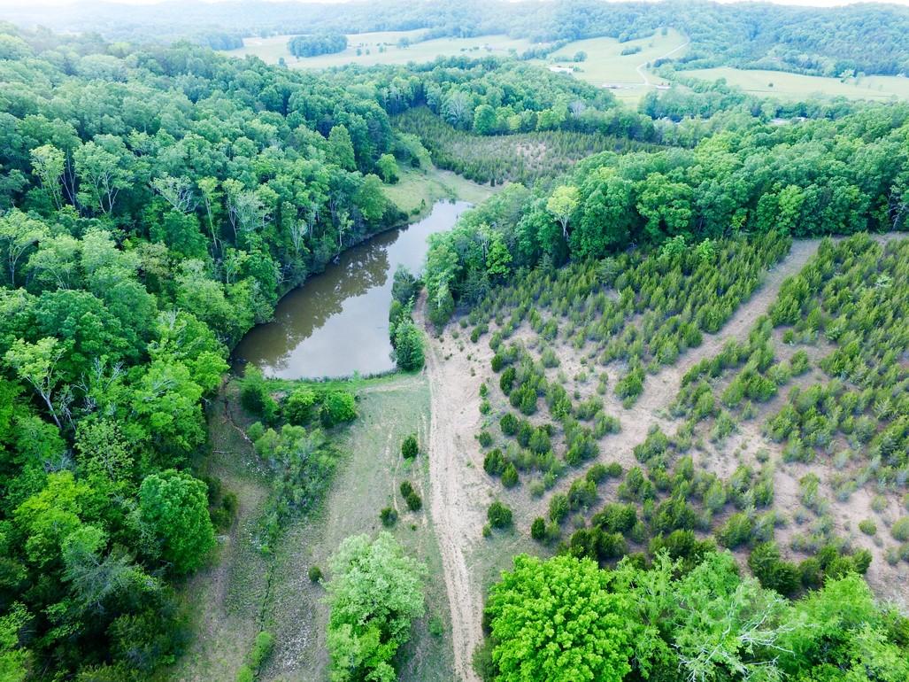 31-acres Lonesome Pine Road Bybee, TN 37713 - Photo 2 of 24 massey 14