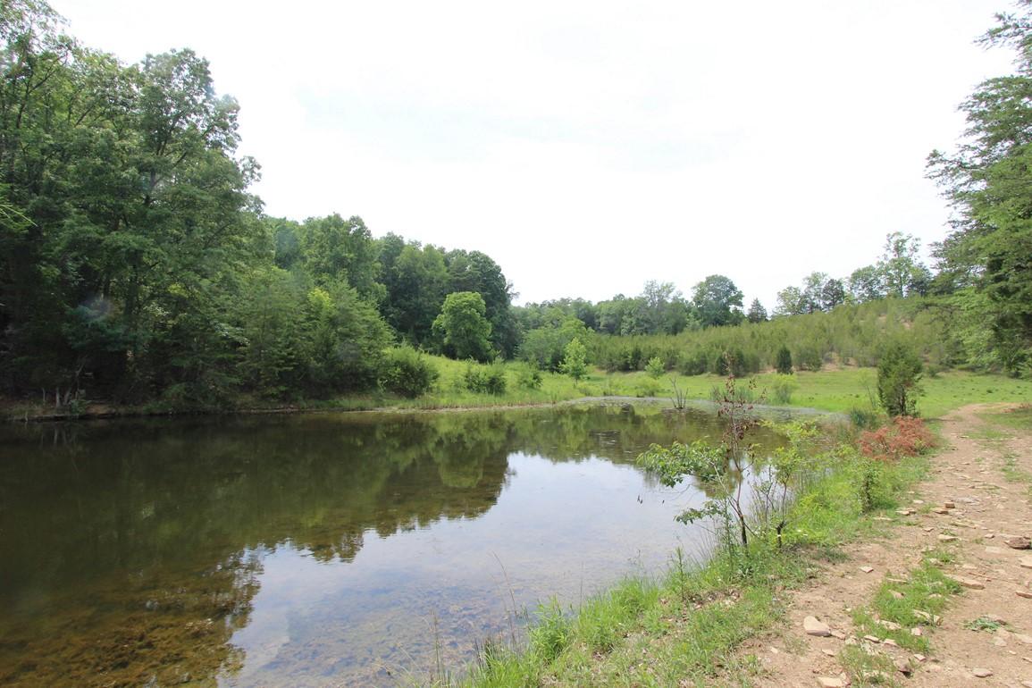 31-acres Lonesome Pine Road Bybee, TN 37713 - Photo 12 of 24 IMG_4786