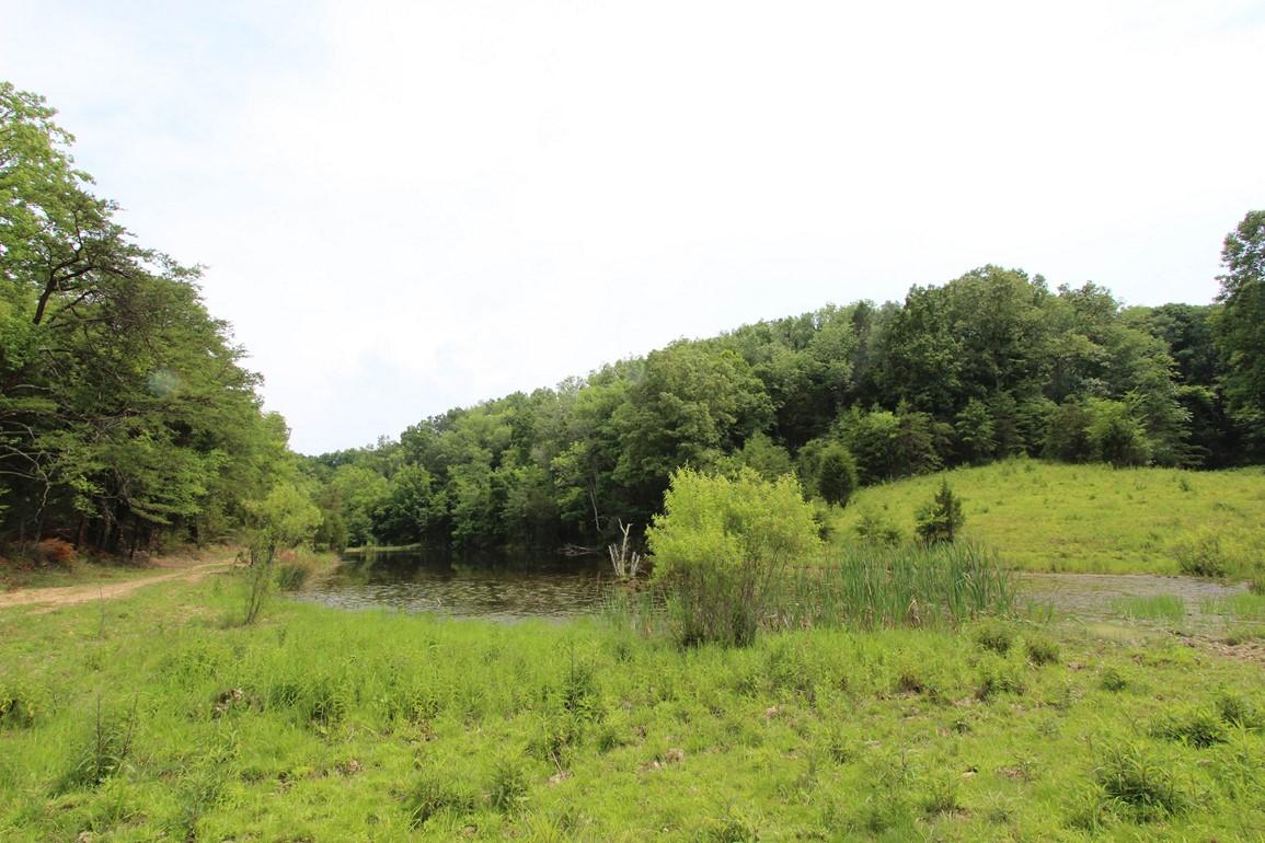 31-acres Lonesome Pine Road Bybee, TN 37713 - Photo 14 of 24 IMG_4788