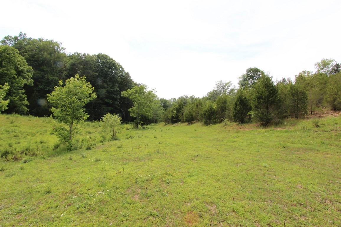 31-acres Lonesome Pine Road Bybee, TN 37713 - Photo 15 of 24 IMG_4789