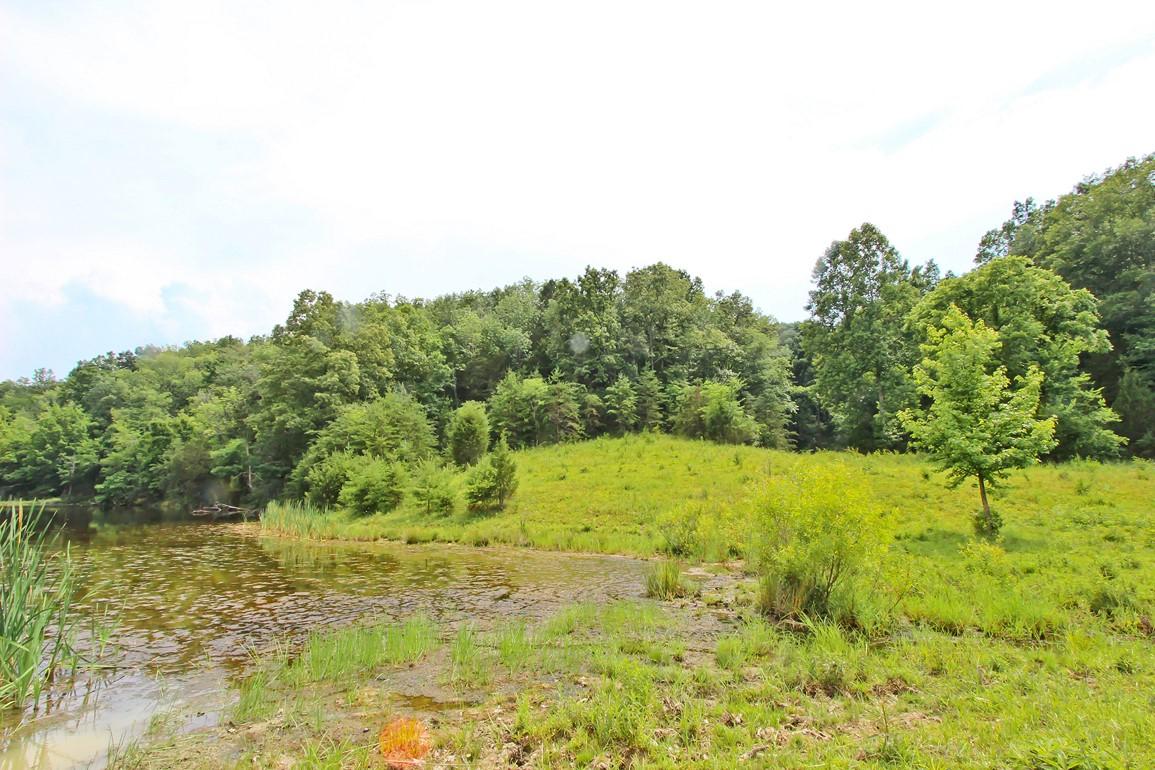31-acres Lonesome Pine Road Bybee, TN 37713 - Photo 16 of 24 IMG_4790