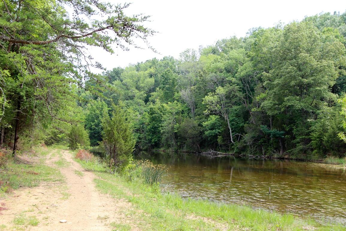 31-acres Lonesome Pine Road Bybee, TN 37713 - Photo 19 of 24 IMG_4793