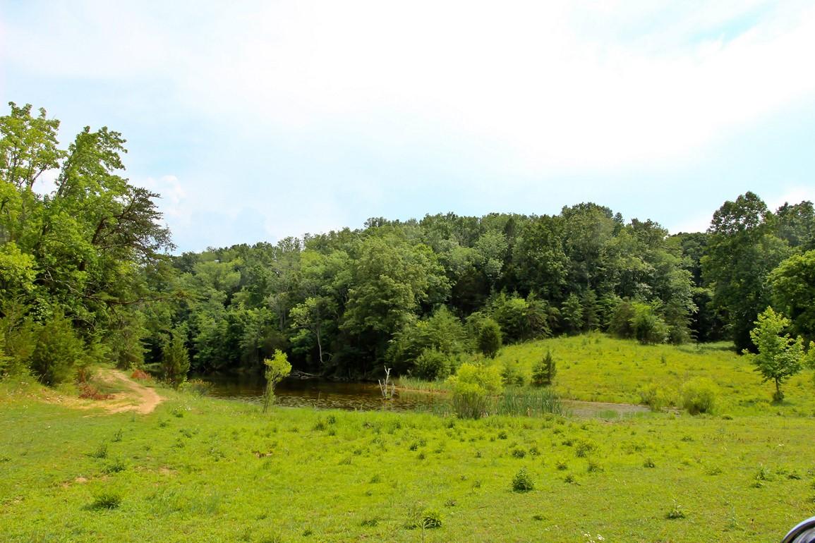 31-acres Lonesome Pine Road Bybee, TN 37713 - Photo 20 of 24 IMG_4794