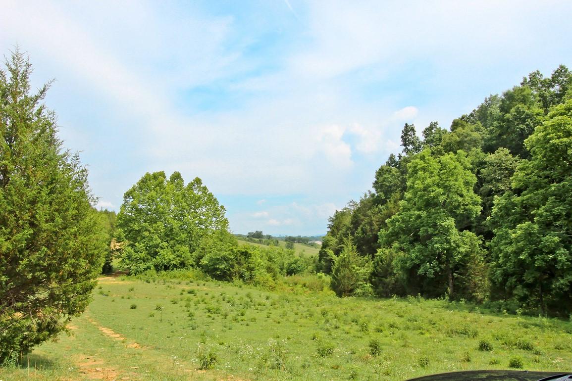 31-acres Lonesome Pine Road Bybee, TN 37713 - Photo 21 of 24 IMG_4795