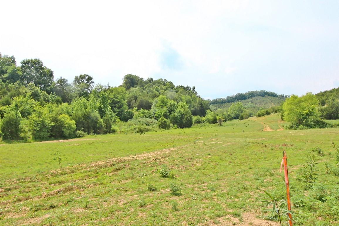 31-acres Lonesome Pine Road Bybee, TN 37713 - Photo 24 of 24 IMG_4799