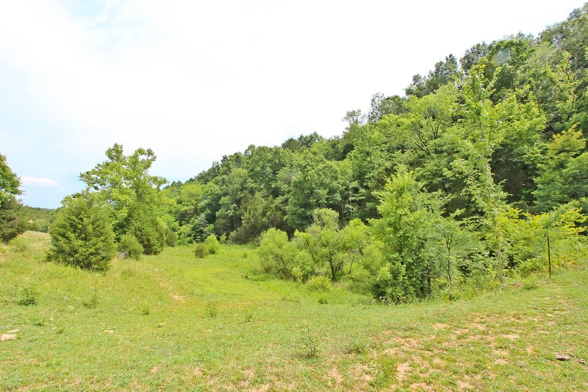 31-acres Lonesome Pine Road Bybee, TN 37713 - Photo 4 of 24 IMG_4778