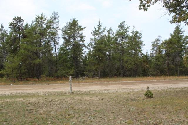 1757 South Thendara Road Grayling, MI 49738 - Photo 13 of 14 Gallery Image 13