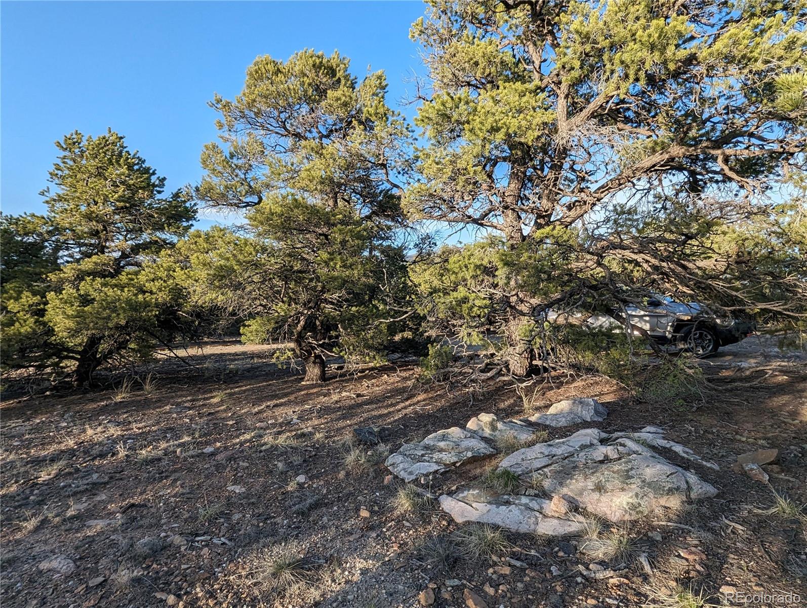 6003 Archery Circle Salida, CO 81201 - Photo 12 of 29