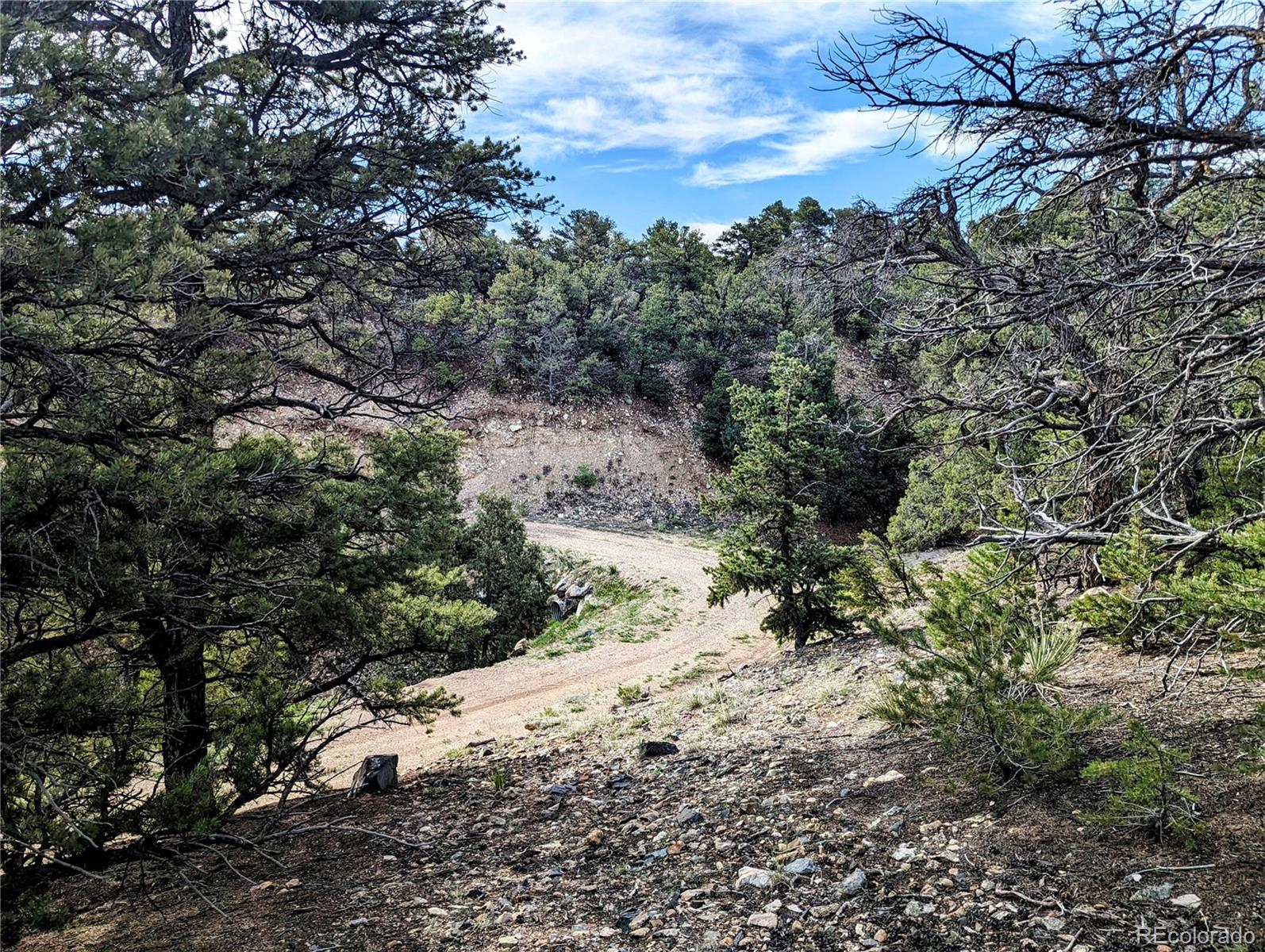 6003 Archery Circle Salida, CO 81201 - Photo 20 of 29