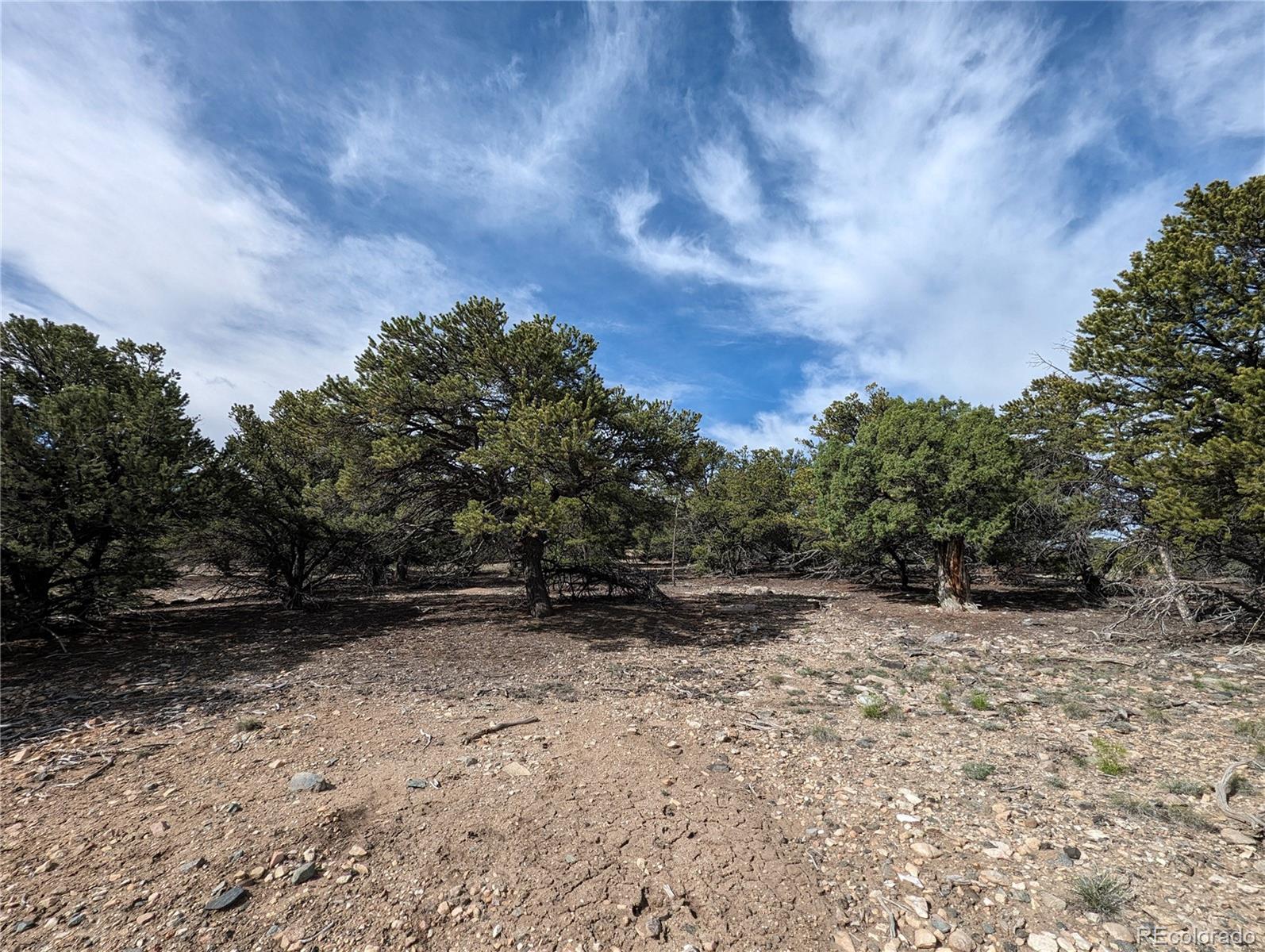 6003 Archery Circle Salida, CO 81201 - Photo 23 of 29