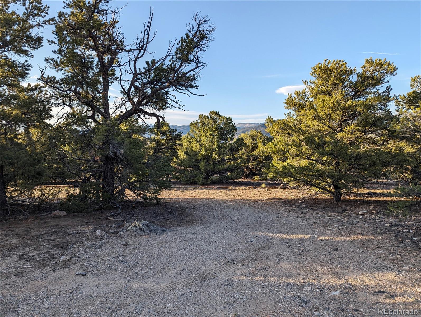 6003 Archery Circle Salida, CO 81201 - Photo 4 of 29