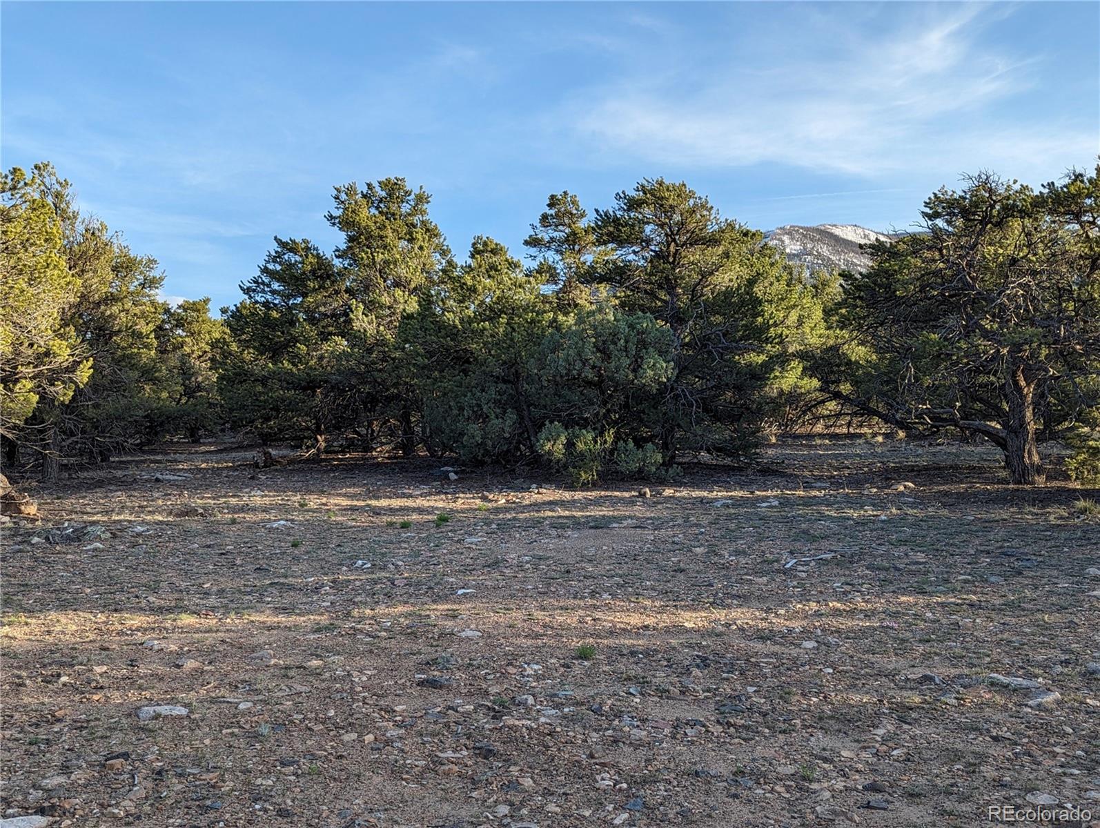 6003 Archery Circle Salida, CO 81201 - Photo 5 of 29