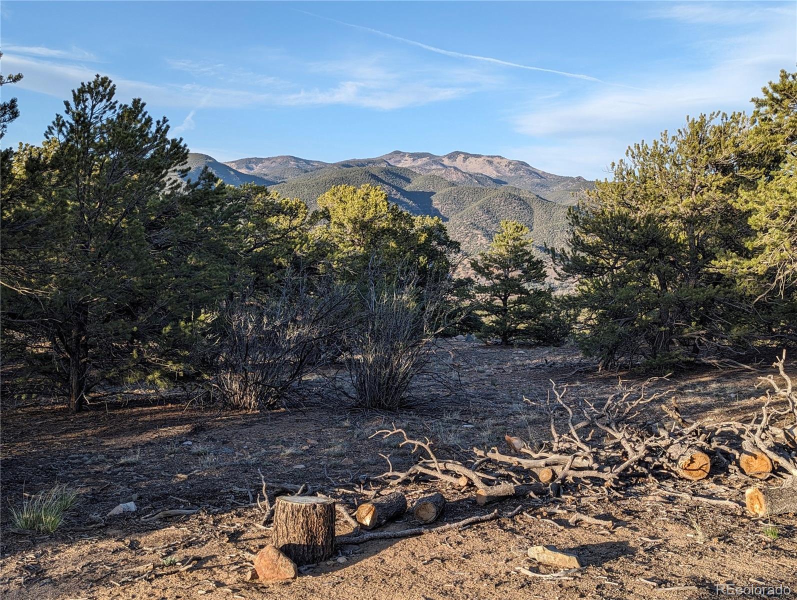 6003 Archery Circle Salida, CO 81201 - Photo 10 of 29
