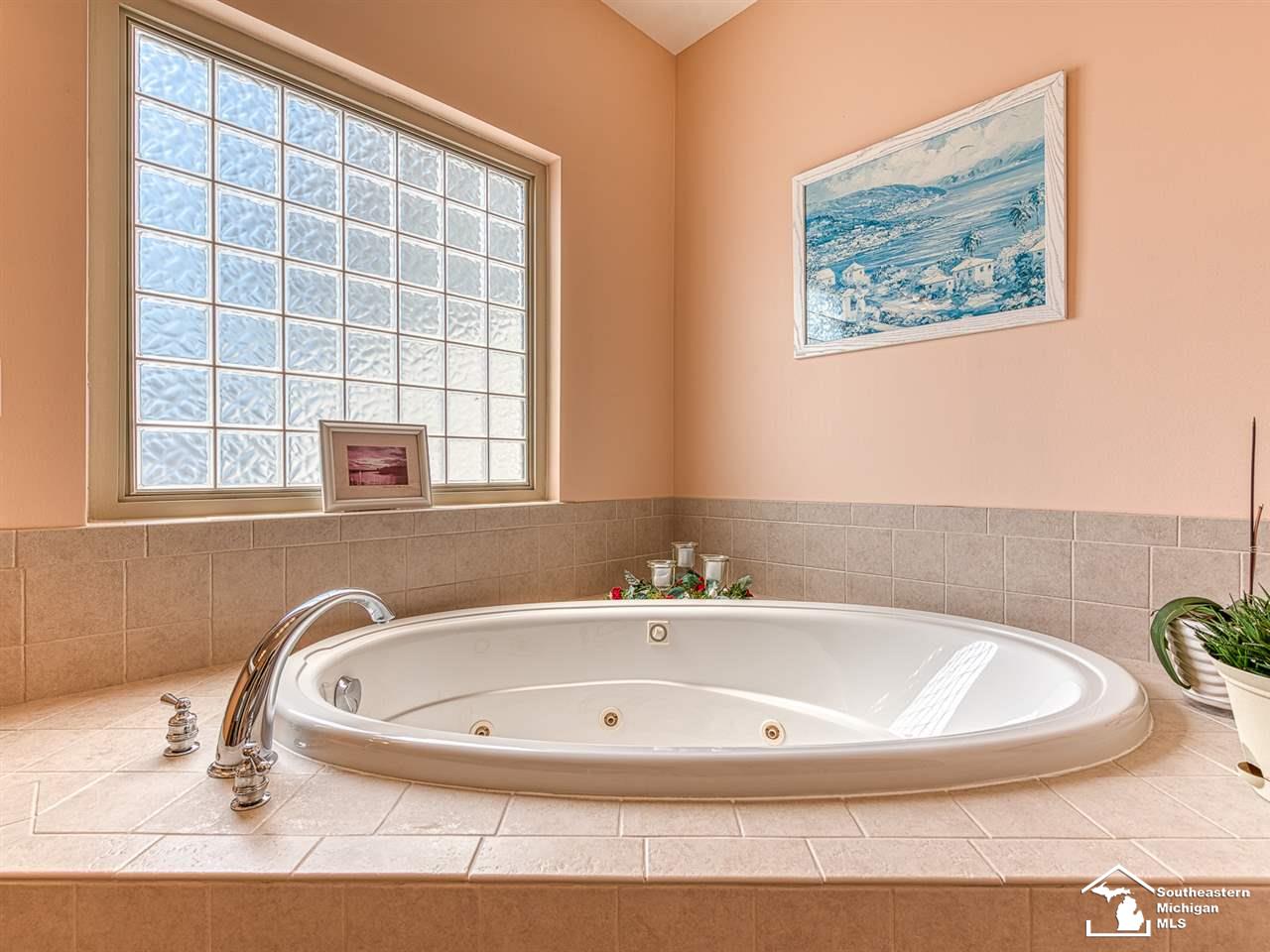 547 Ridge Point Drive Dundee, MI 48131 - Photo 14 of 43 Jetted Garden Tub