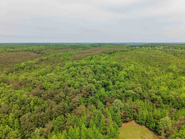 $553,900 | Race Path Road, Stantonville, TN 38379