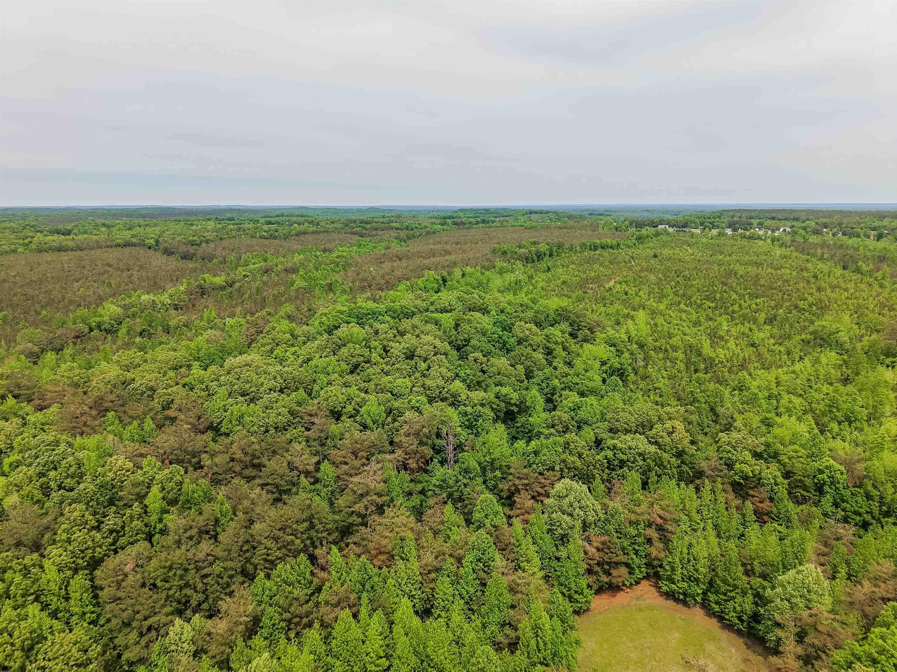 Race Path Road Stantonville, TN 38379 - Photo 13 of 31 a view of yard with ocean view