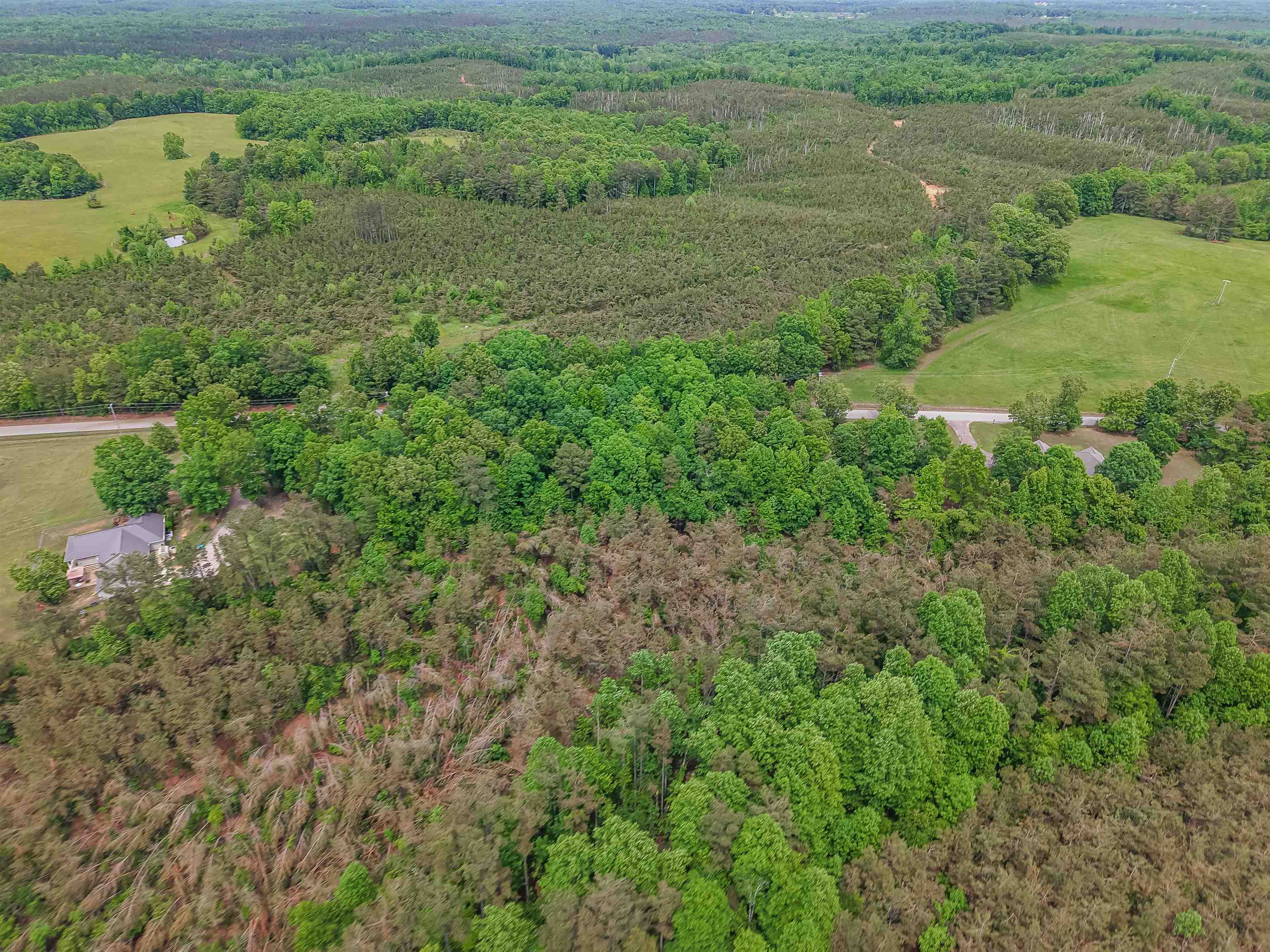 Race Path Road Stantonville, TN 38379 - Photo 14 of 31 a view of a lush green forest with lots of trees