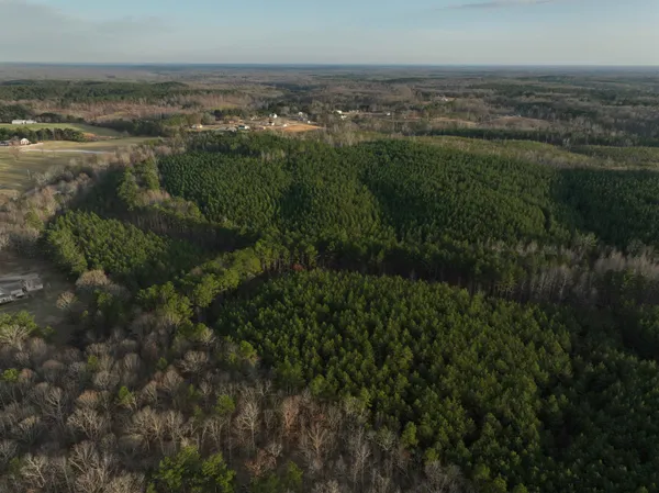 $553,900 | Race Path Road, Stantonville, TN 38379