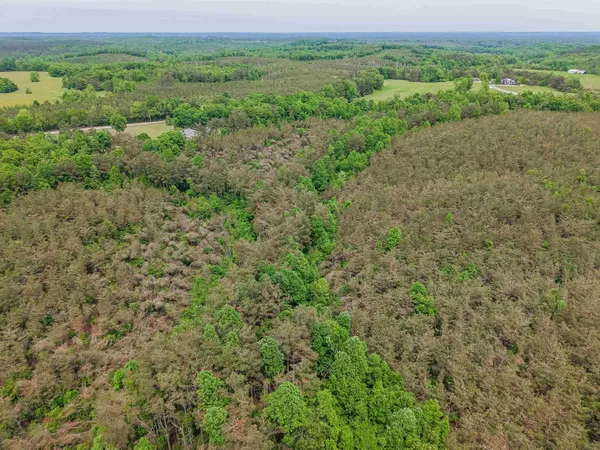 $553,900 | Race Path Road, Stantonville, TN 38379