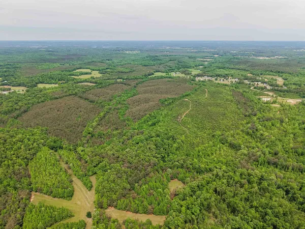 $553,900 | Race Path Road, Stantonville, TN 38379
