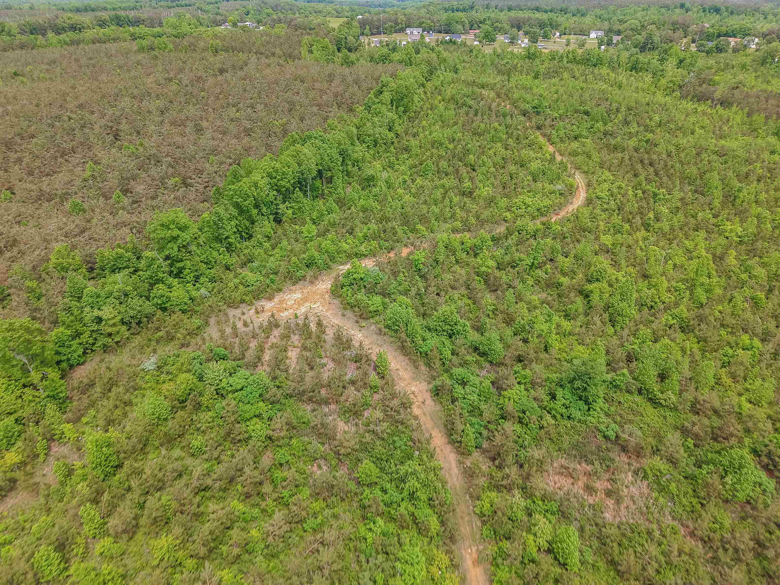 Race Path Road Stantonville, TN 38379 - Photo 23 of 31 a view of a field of grass and trees