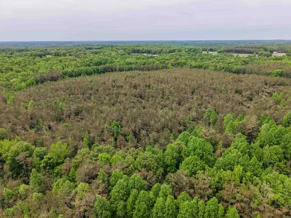 $553,900 | Race Path Road, Stantonville, TN 38379