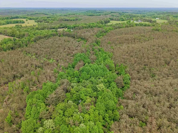 $553,900 | Race Path Road, Stantonville, TN 38379