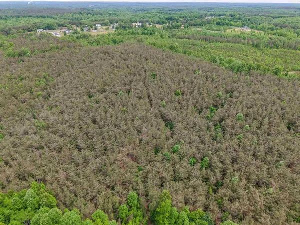 $553,900 | Race Path Road, Stantonville, TN 38379