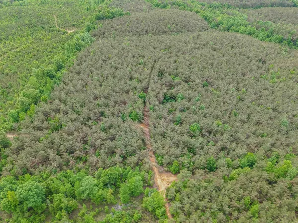 $553,900 | Race Path Road, Stantonville, TN 38379