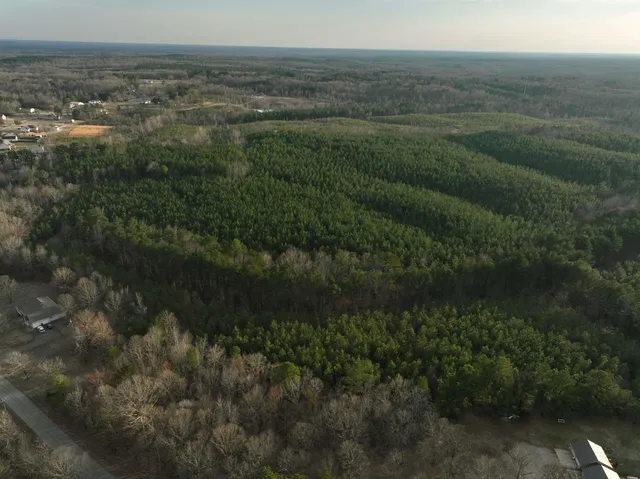 a view of yard with ocean and trees