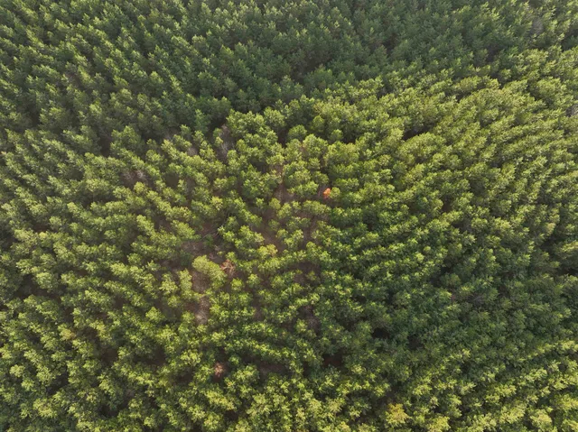 an aerial view of residential houses with outdoor space and trees