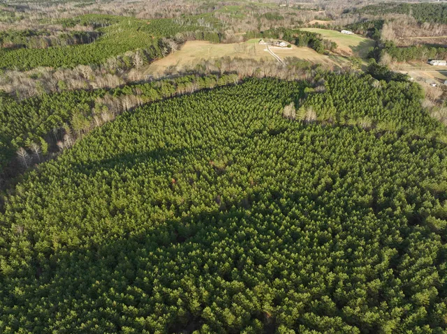 $553,900 | Race Path Road, Stantonville, TN 38379