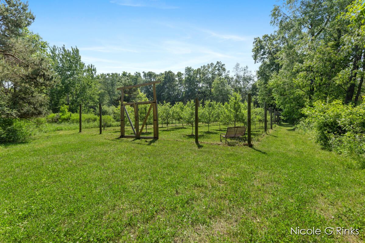 9860 Button Road Belding, MI 48809 - Photo 45 of 63 9860 Button orchard
