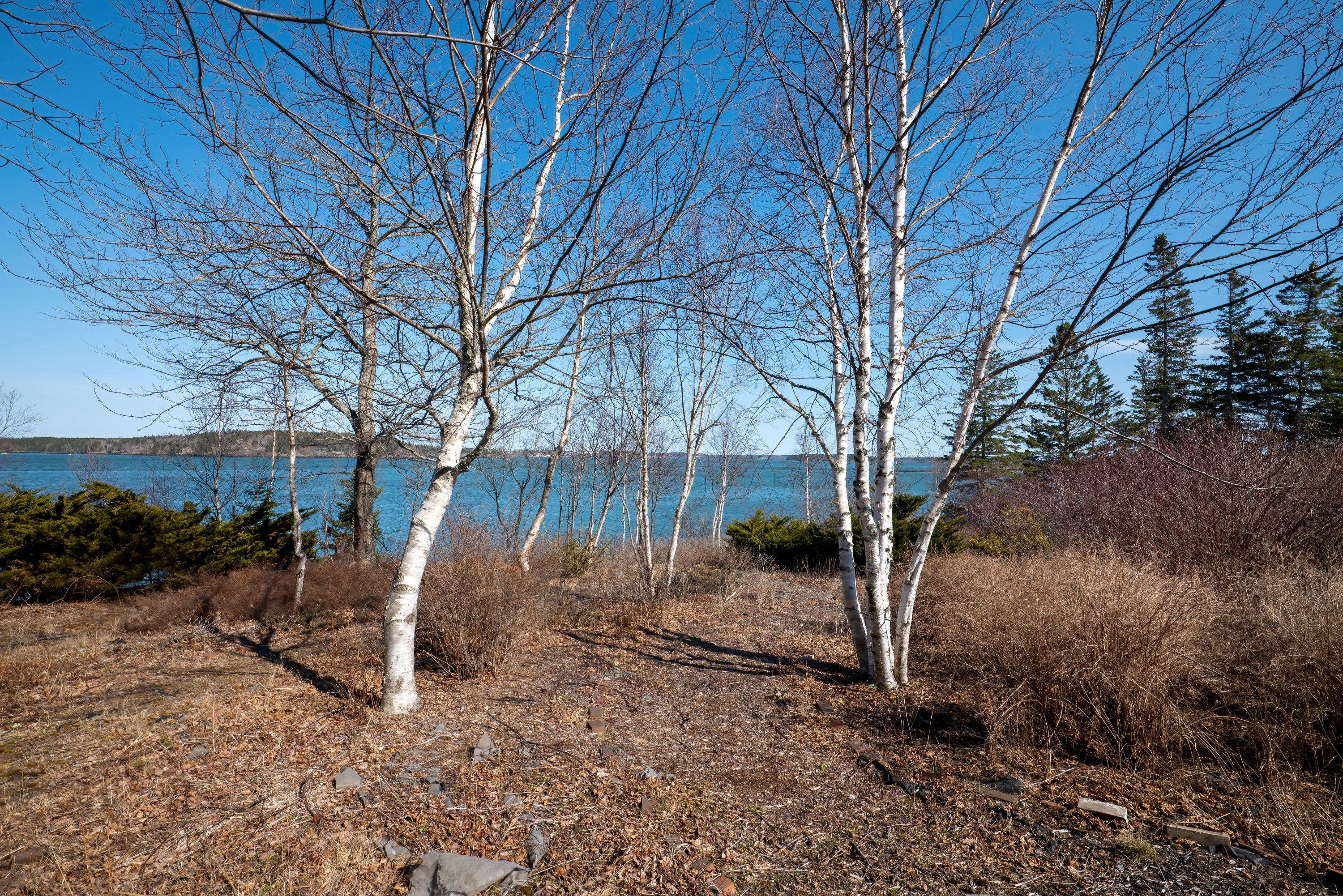 957 North Lubec Road Lubec, ME 04652 - Photo 74 of 88 957 North Lubec HiRes (47)