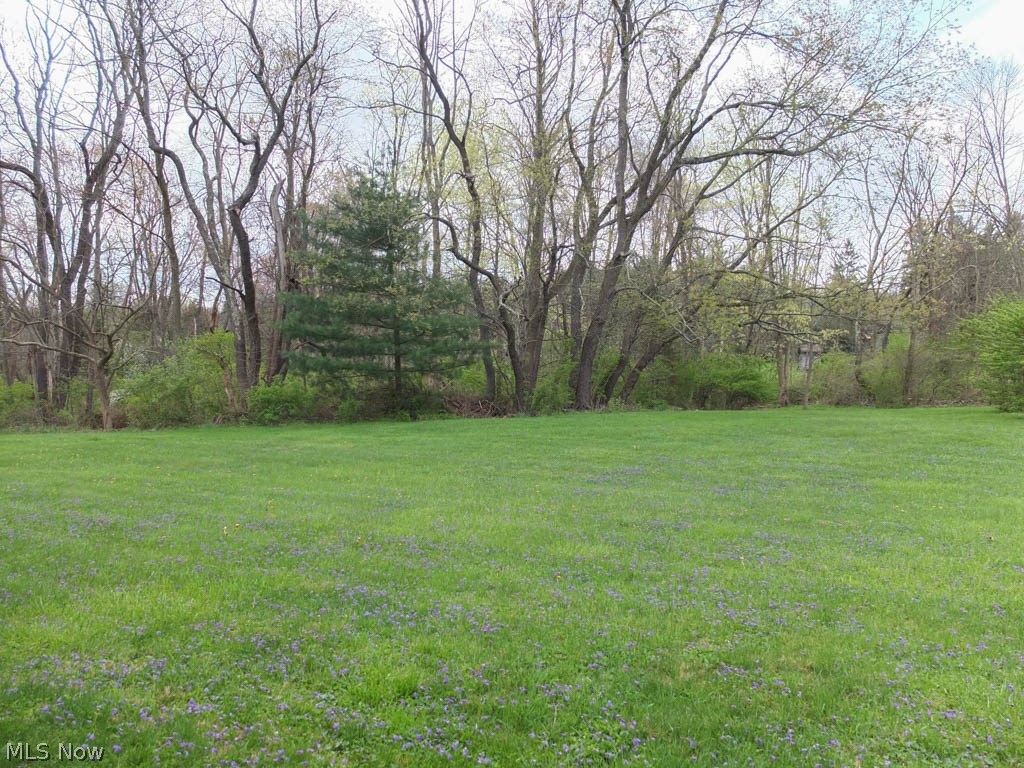 1475 Sand Run Road Akron, OH 44313 - Photo 22 of 24 Backyard