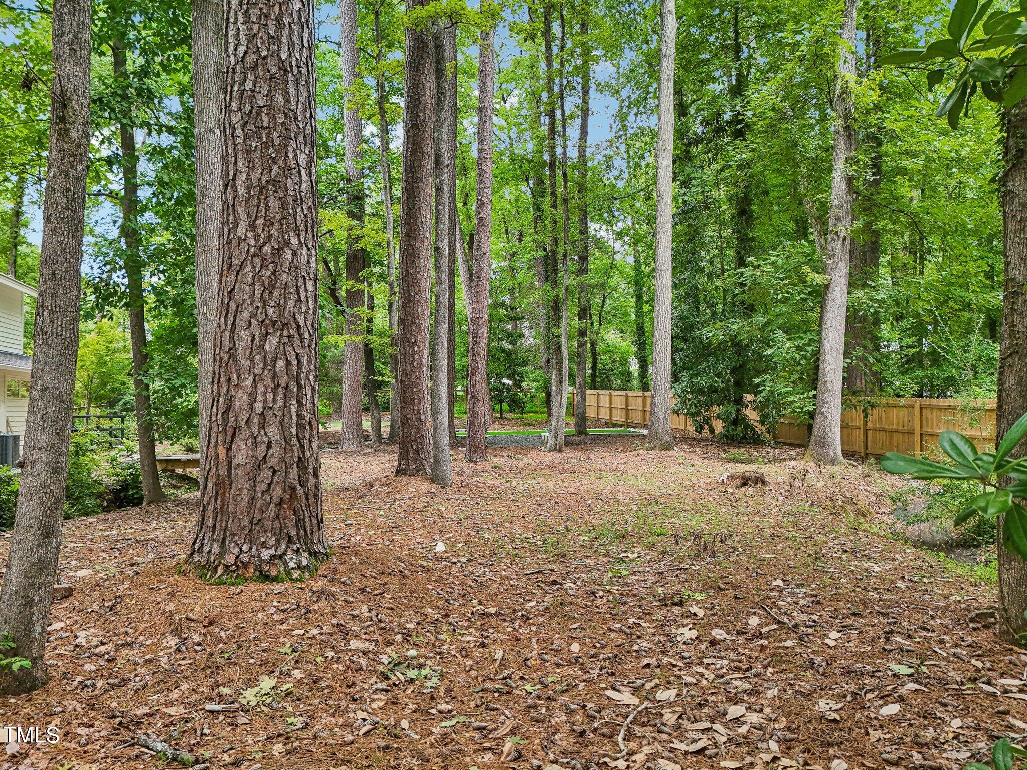 3825 Darby Road Durham, NC 27707 - Photo 45 of 52 Darby Rd-073