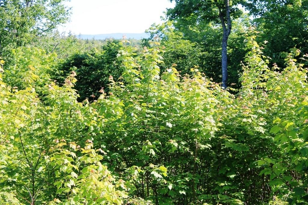 8 Alpine Ridge Drive Greenville, ME 04441 - Photo 20 of 21 Photo