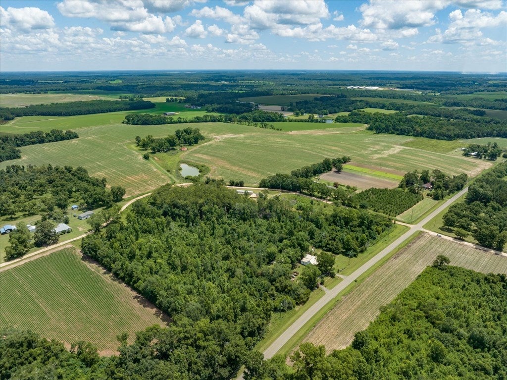 431 Dry Lake Road Boston, GA 31626 - Photo 11 of 22 Gallery Image 11