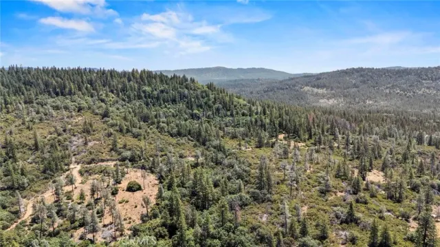 $99,999 | 17711 Pamlo, Brownsville, CA 95919