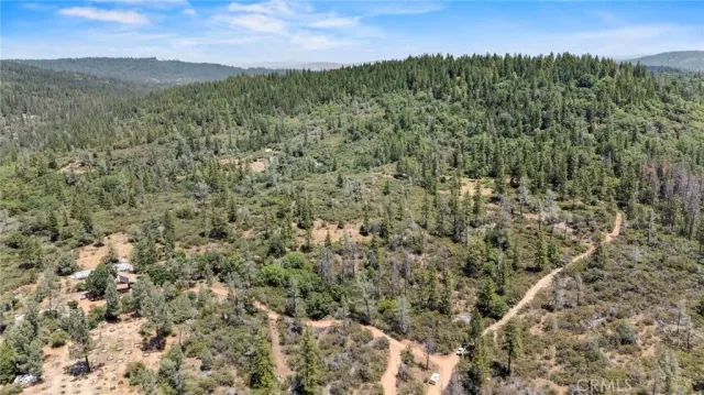 a view of a city with lush green forest