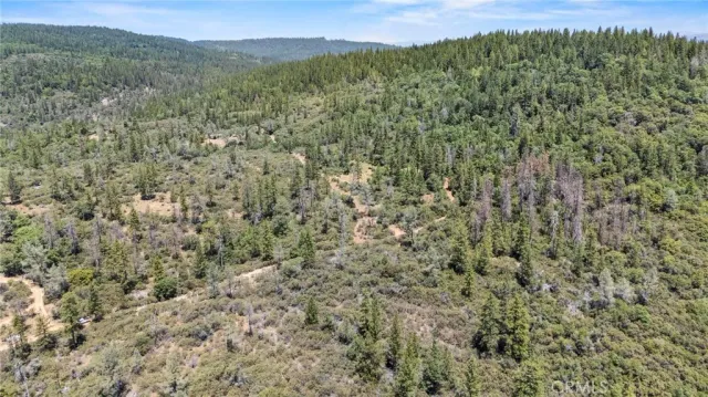 a view of a field with large trees