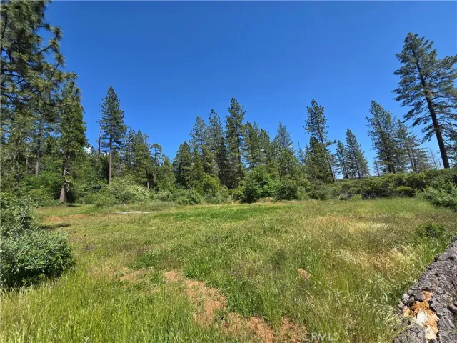 a view of a city with lush green forest